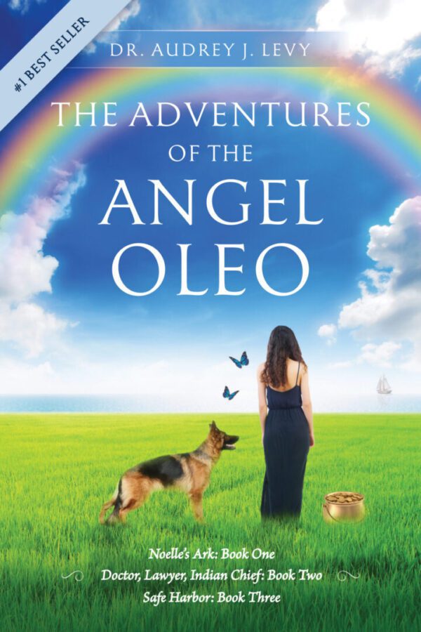 The Adventures of the Angel Oleo book cover