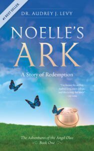 Book cover of “Noel’s Ark”
